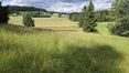 Biodiversitätsfläche_Grünland_NäheFrauenwieserteich © Elisabeth KerschbaumerL, KNÖ