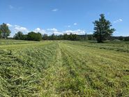 Grünlandwerdung.jpg © DI Martin Größ_ BBK Zwettl