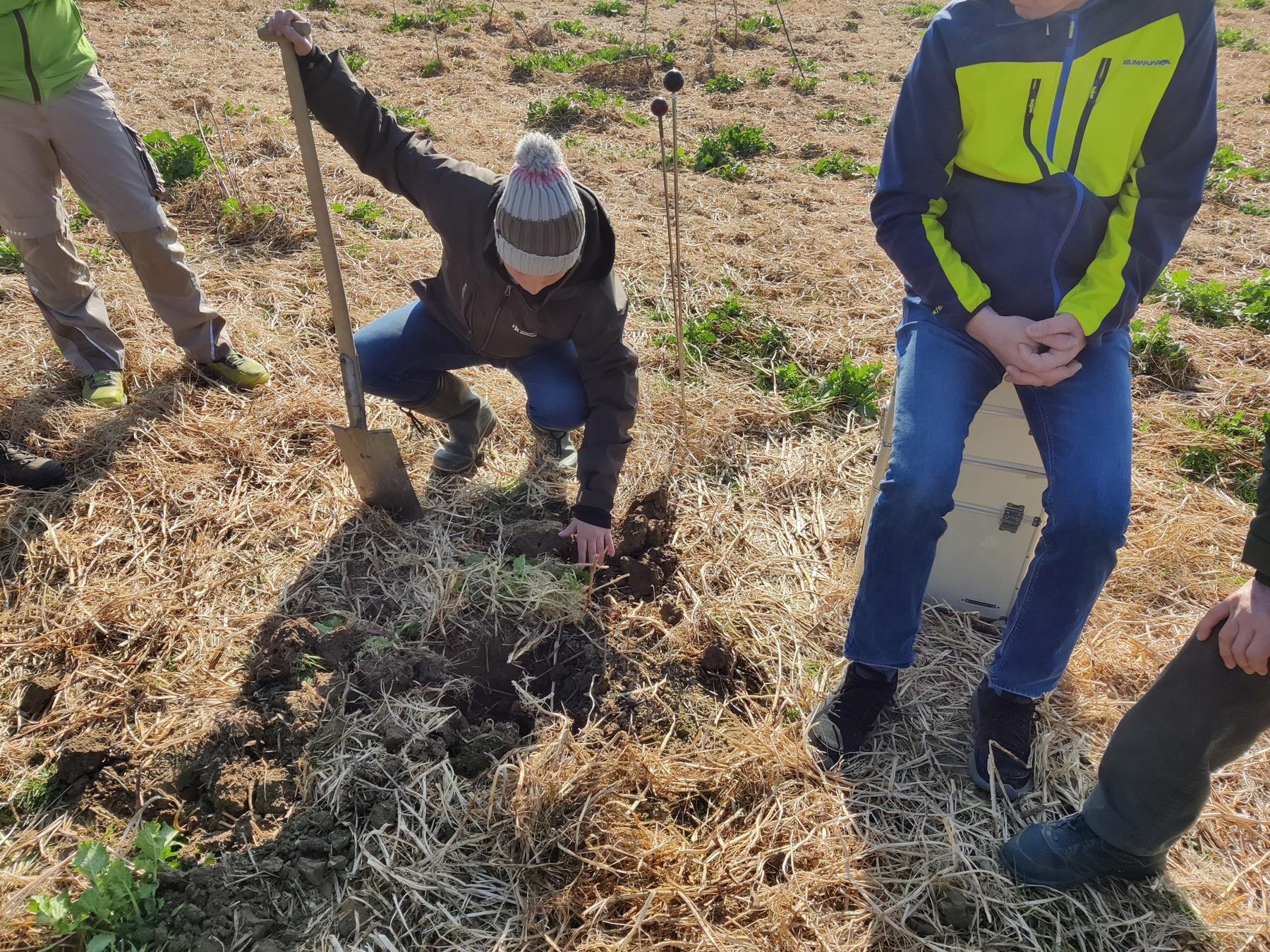 Bei strahlendem Wetter wurde der Bodenkoffer ausgepackt und die 10 verschiedenen Bodenbeurteilungstests mit Unterstützung von DI Elisabeth Murauer durchgeführt. Die interessante Diskussion der AK-Teilnehmer rundete den informativen Nachmittag ab! © BWSB