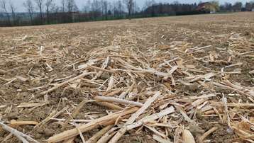 Boden- und Gewässerschutz auf höchstem Niveau - perfekt gelungene Muchsaat, 21. März 2026