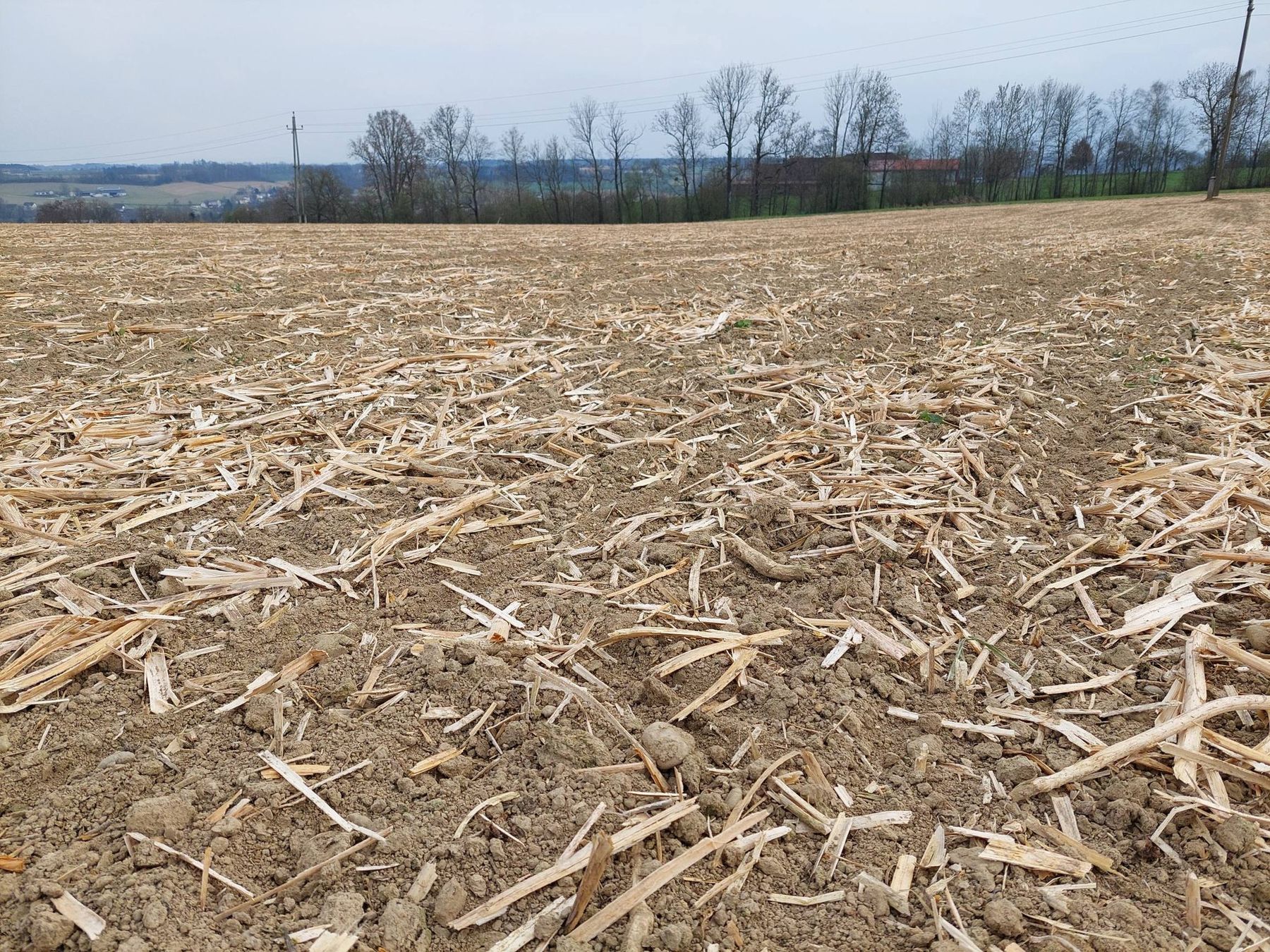 ....gesehen in Neuhofen an der Krems. Wir halten euch auf dem Laufenden wie es weitergeht. © BWSB