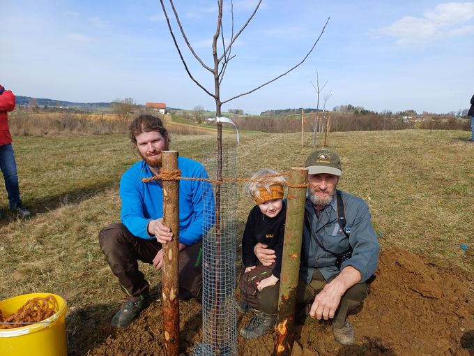 Generationenprojekt Obstbaumpflanzung.jpg © Strebl/LK OÖ