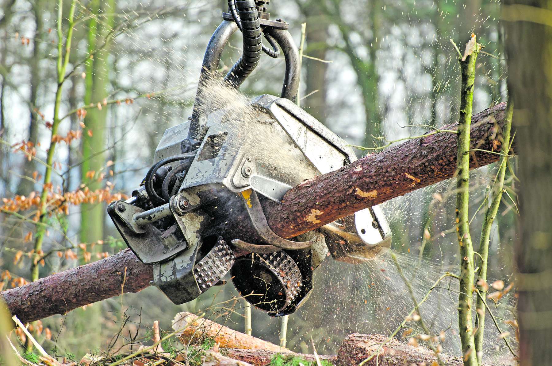 Einsatz von Forstunternehmen.jpg © AdobeStock/ Teteline