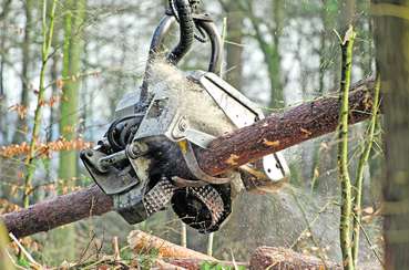 Einsatz von Forstunternehmen.jpg © AdobeStock/ Teteline