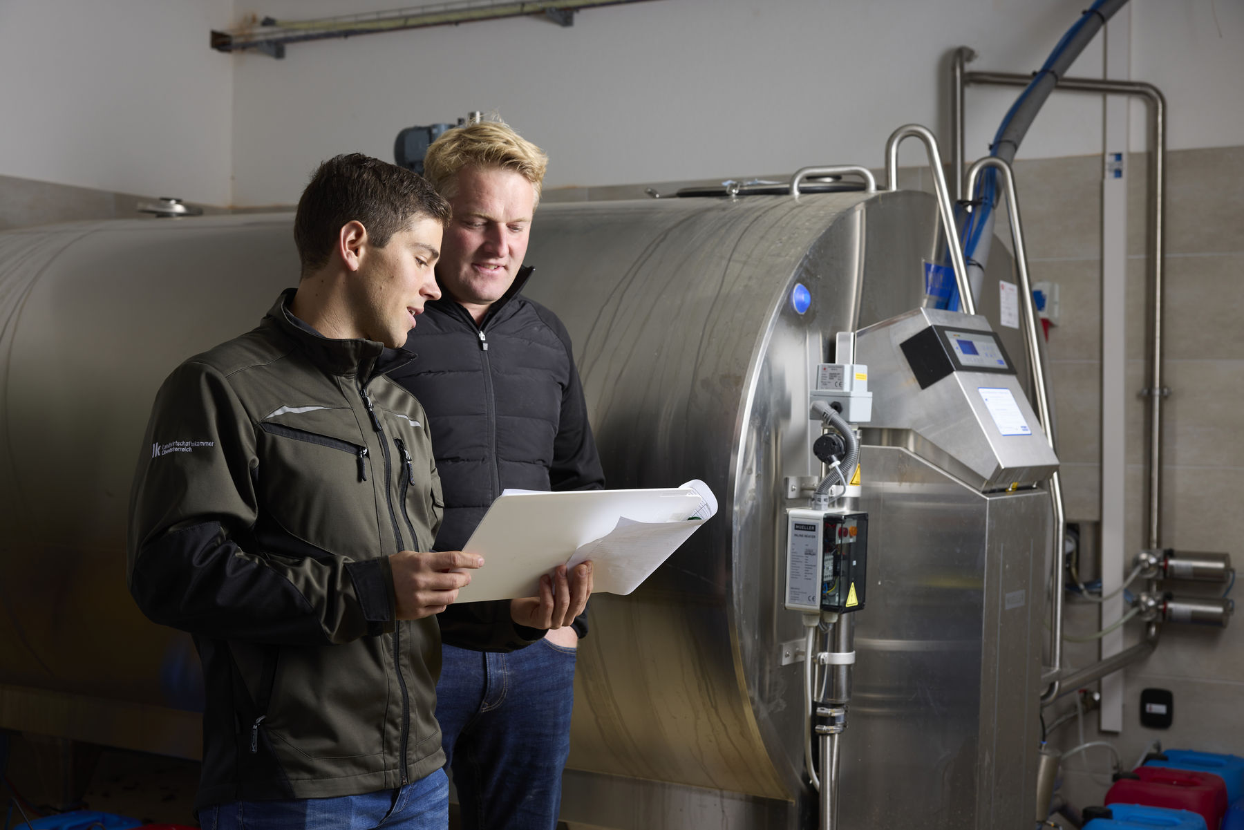 Bild2 LKOÖ Rinder-0253(AdobeRGB).jpg © LK OÖ