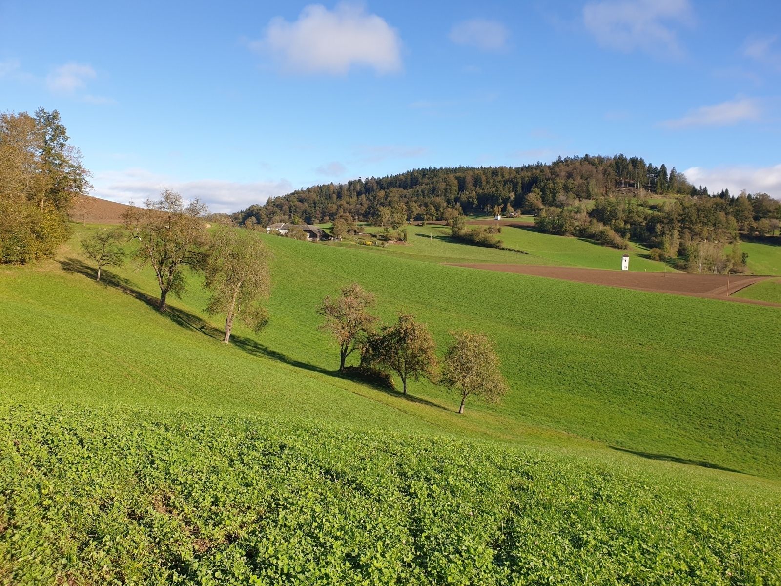 Ausschuss für Bergbauern und ländlichen Raum_2024 Landschaft.jpg © LK OÖ/ Weichselbaumer