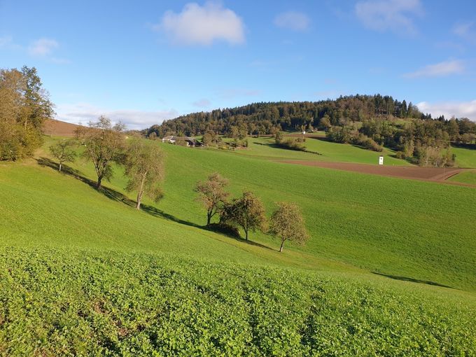 Ausschuss für Bergbauern und ländlichen Raum_2024 Landschaft.jpg © LK OÖ/ Weichselbaumer