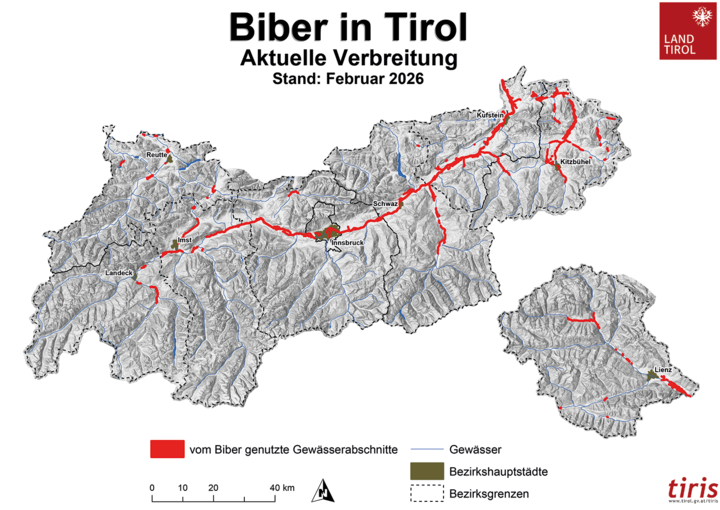 Karte von Tirol mit eingezeichneten Biberschäden entlang von Gewässern © Tiris Land Tirol