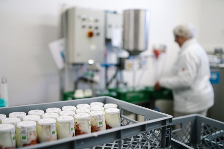 Foto 2_Milchverarbeitung.jpg © Winterhof