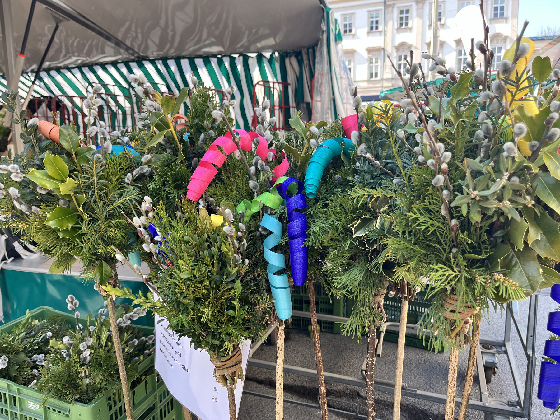 sb13_mt_palm.jpg © Dürnberger