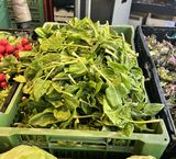 sb13_mt_spinat.jpg © Archiv