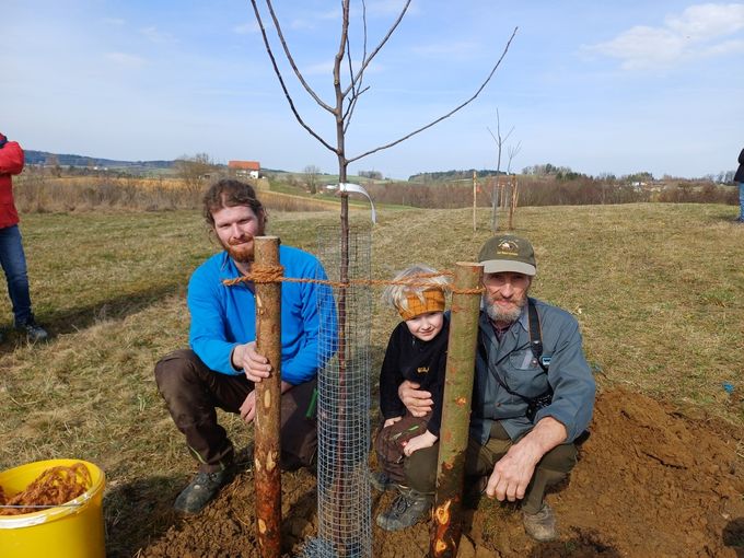 Gartentipp_Zeit zur Obstbaumpflanzung_Generationenprojekt Obstbaumpflanzung.jpg © LK OÖ/Strebl