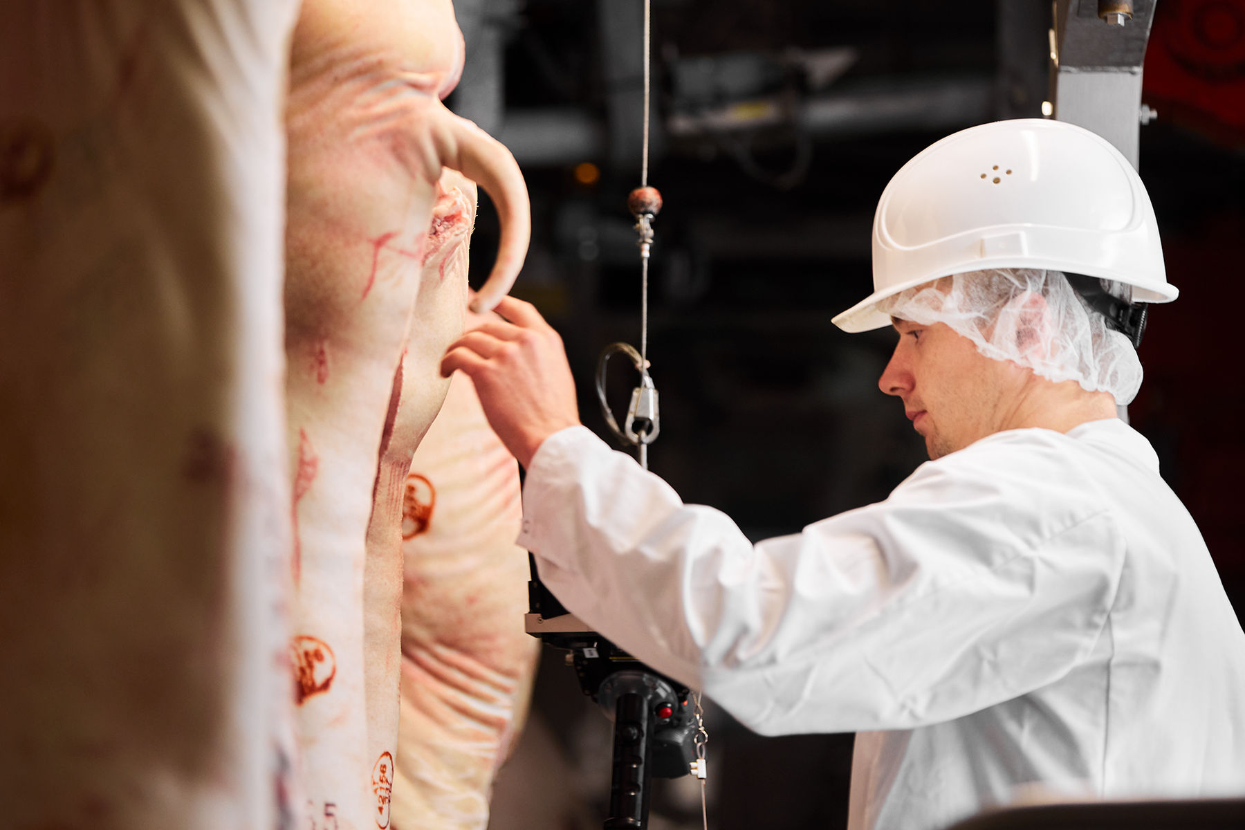 Fotografie-LfL-0053-©-Alexander-Kaiser---lichtlinien_at (1).jpg © LfL OÖ