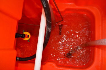 06 Bild 4_Bei einem funktionierendem Rührwerk ist eine gut sichtbare Umwälzung im Behälter erkennbar_RomanHauer.jpg © Roman Hauer/LK Niederösterreich