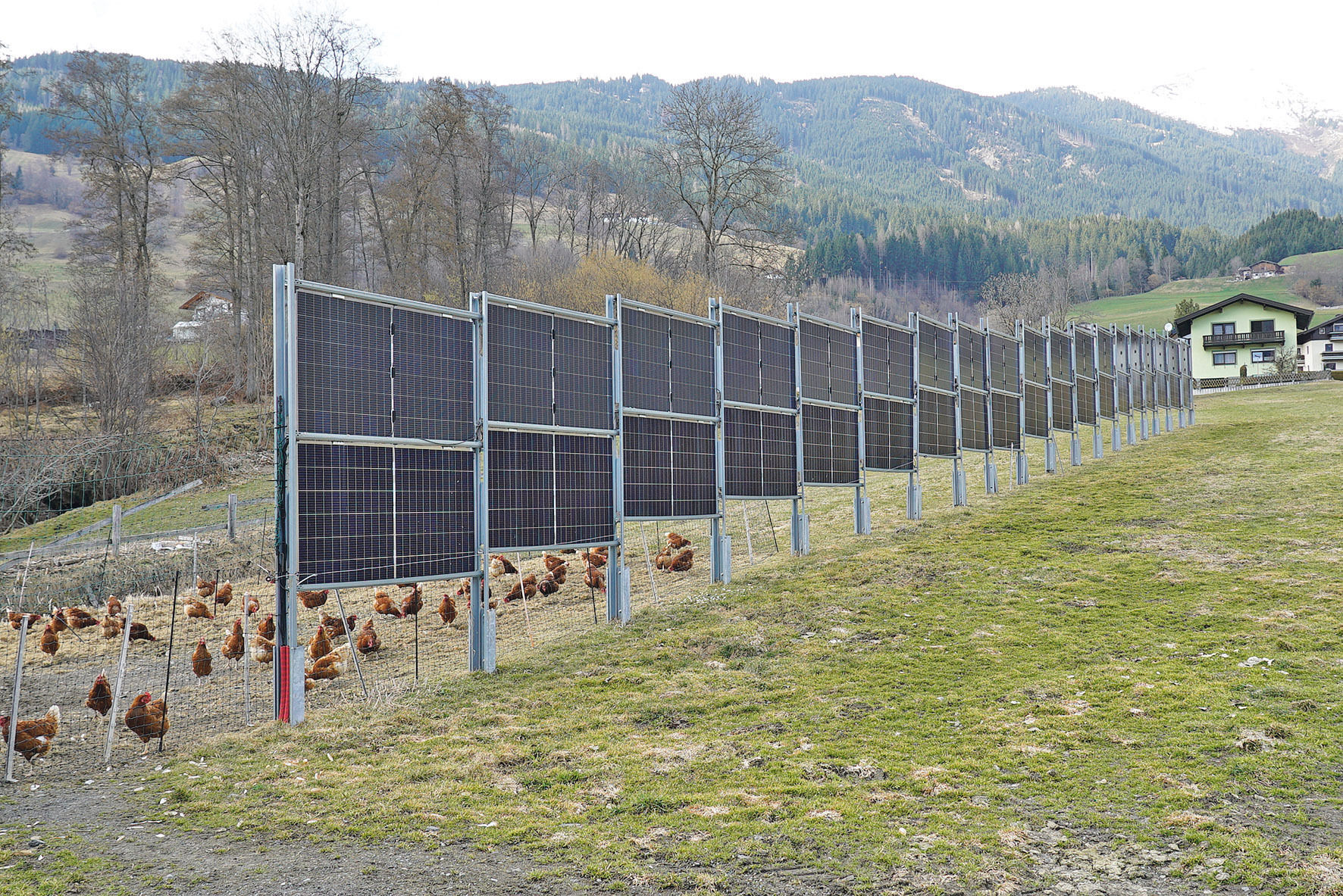 Betriebsreport Bernsteiner Brücklbauer.jpg © Hatheier