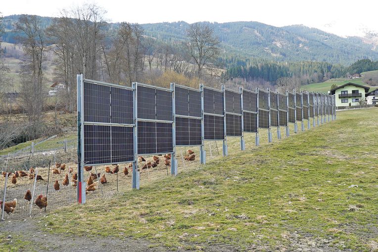 Betriebsreport Bernsteiner Brücklbauer.jpg © Hatheier