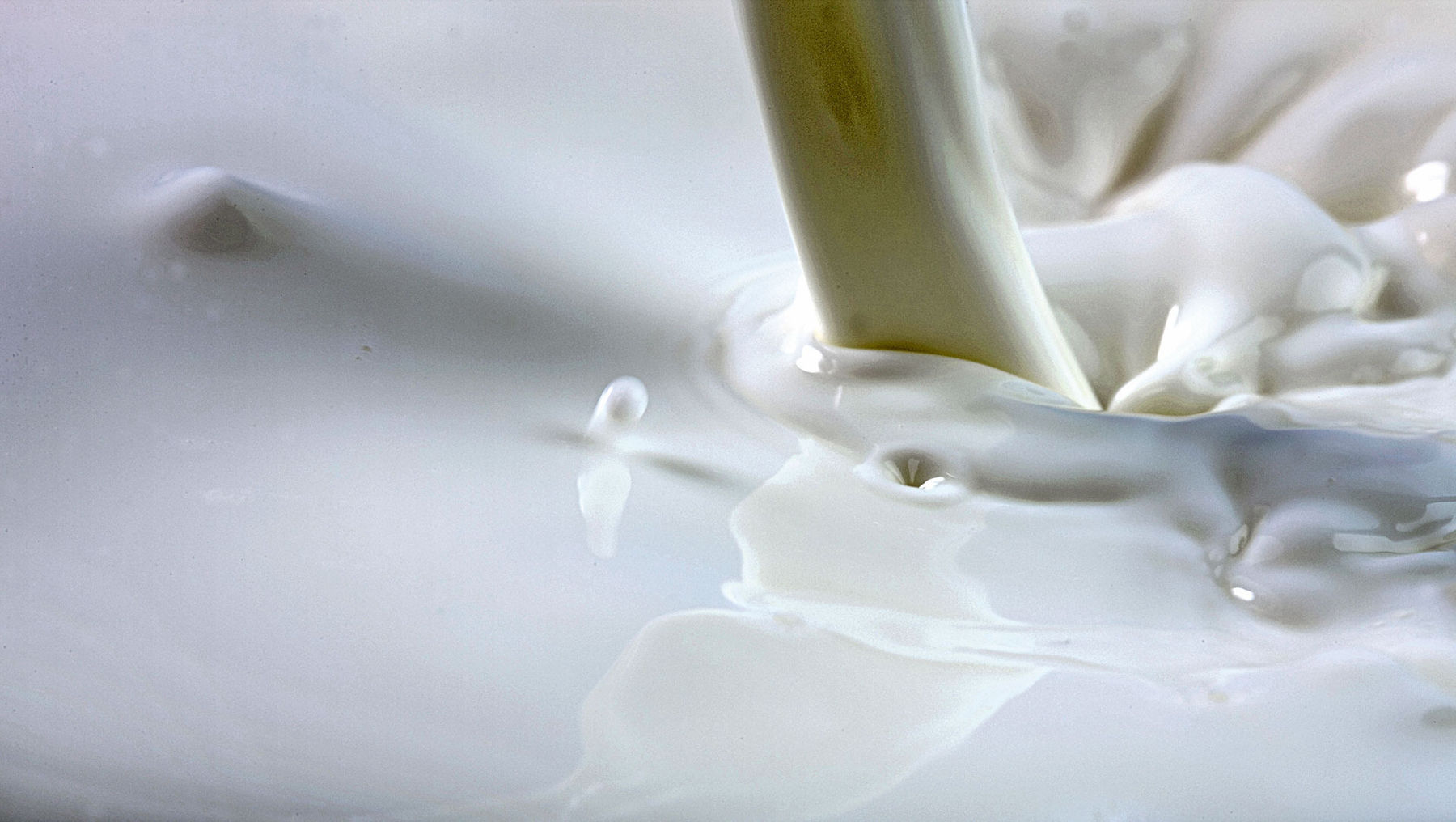 Milchpreisvergleich 2025.jpg © AdobeStock