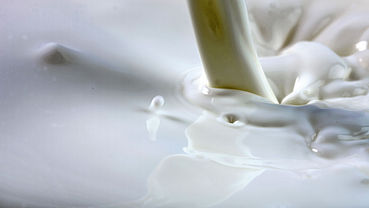 Milchpreisvergleich 2025.jpg © AdobeStock