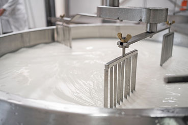 Milchpreisvergleich 2025.jpg © AdobeStock