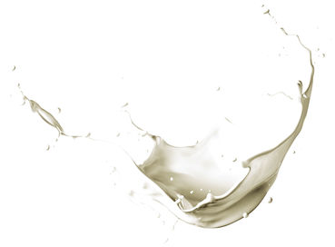 Milchpreisvergleich 2025.jpg © AdobeStock