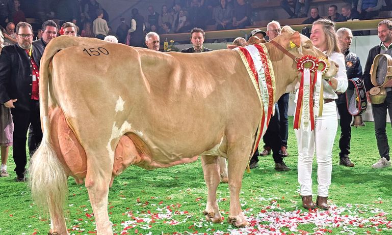 Paula zog den Preisrichter von  Anfang an in den Bann © RZV/Moser