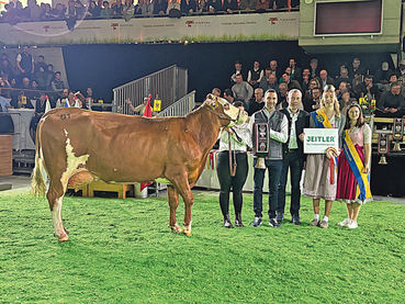 Paula zog den Preisrichter von  Anfang an in den Bann.jpg © RZV/Moser