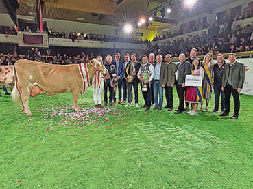 Paula zog den Preisrichter von  Anfang an in den Bann.jpg © RZV/Moser