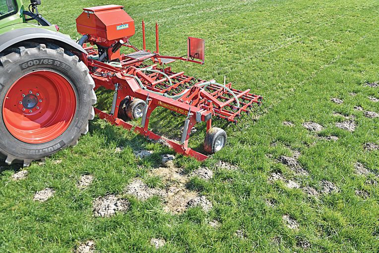 Lücken aus dem Winter entstehen häufig durch Mäusefraß. Milde Witterung und geschlossene Schneedecken fördern Mäuse, während längere Kahlfrostphasen ihnen zusetzen. Erste Rückmeldungen deuten darauf hin, dass die tiefen Temperaturen im Jänner die Populati © Einböck