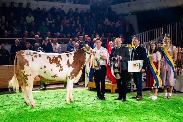 Bundesfleckviehschau 2026 © MOY