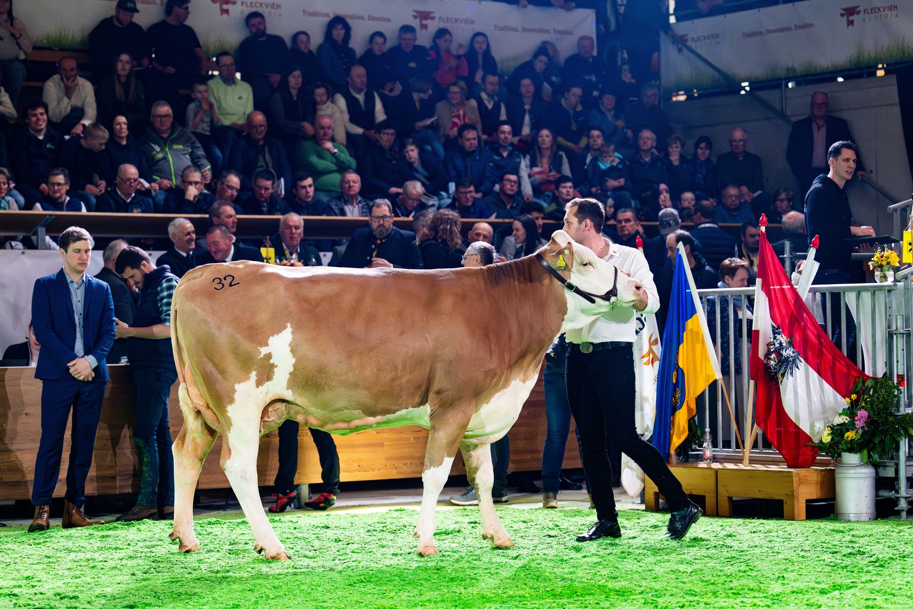 Bundesfleckviehschau 2026 © MOY