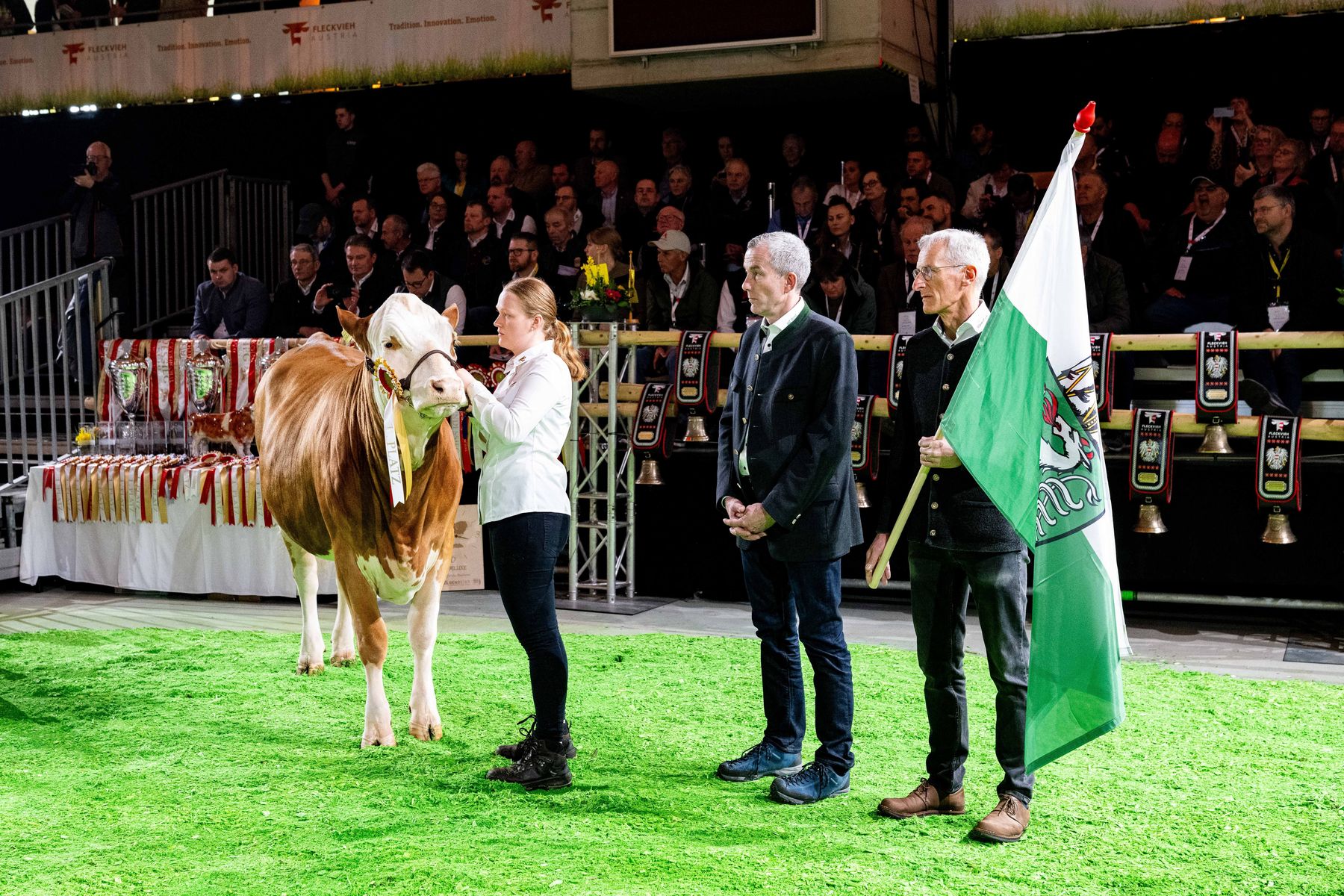 Bundesfleckviehschau 2026 © MOY