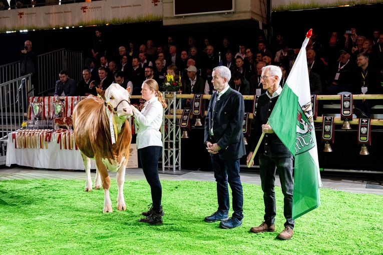 Bundesfleckviehschau 2026 © MOY