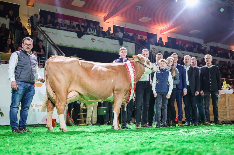 Bundesfleckviehschau 2026 © MOY