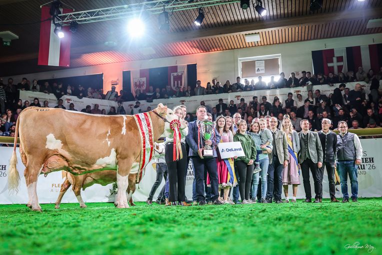 Bundesfleckviehschau 2026 © MOY
