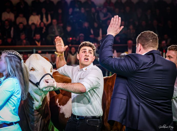 Bundesfleckviehschau 2026 © MOY