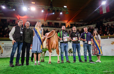 Bundesfleckviehschau 2026 © MOY