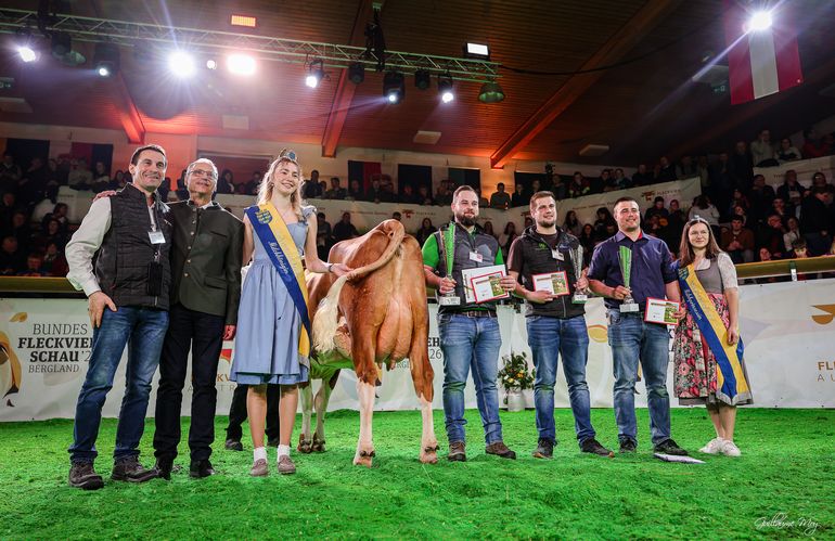 Bundesfleckviehschau 2026 © MOY