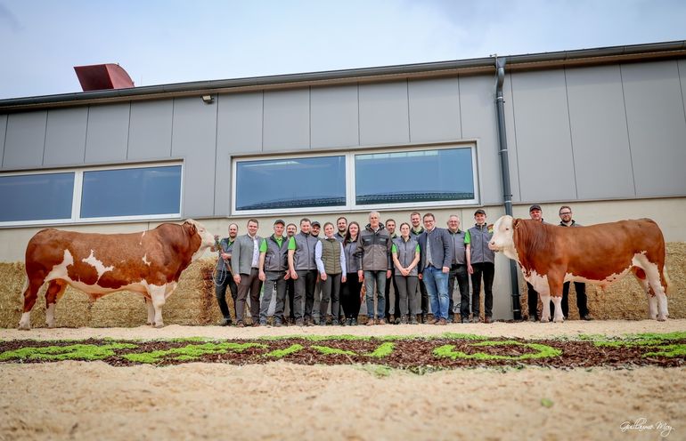 Bundesfleckviehschau 2026 © MOY