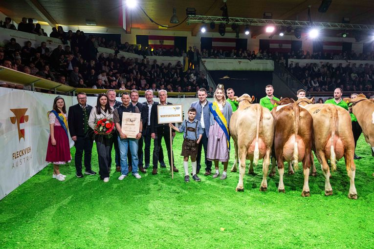 Bundesfleckviehschau 2026 © MOY