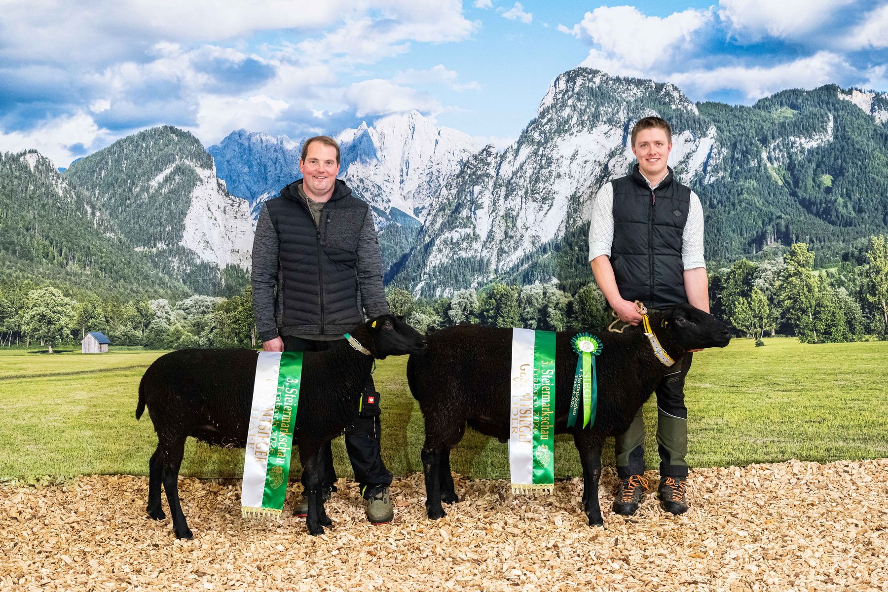 Steiermarkschau der Schafe 2026 © Fritz Baumann