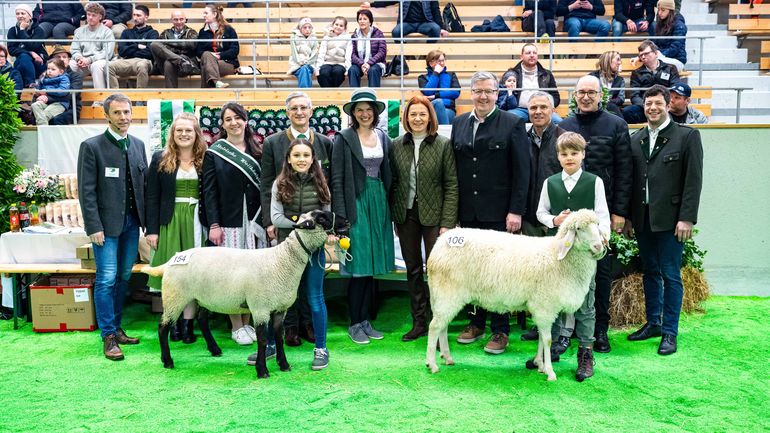 Steiermarkschau der Schafe 2026 © Fritz Baumann