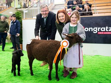 Steiermarkschau der Schafe 2026 © Fritz Baumann