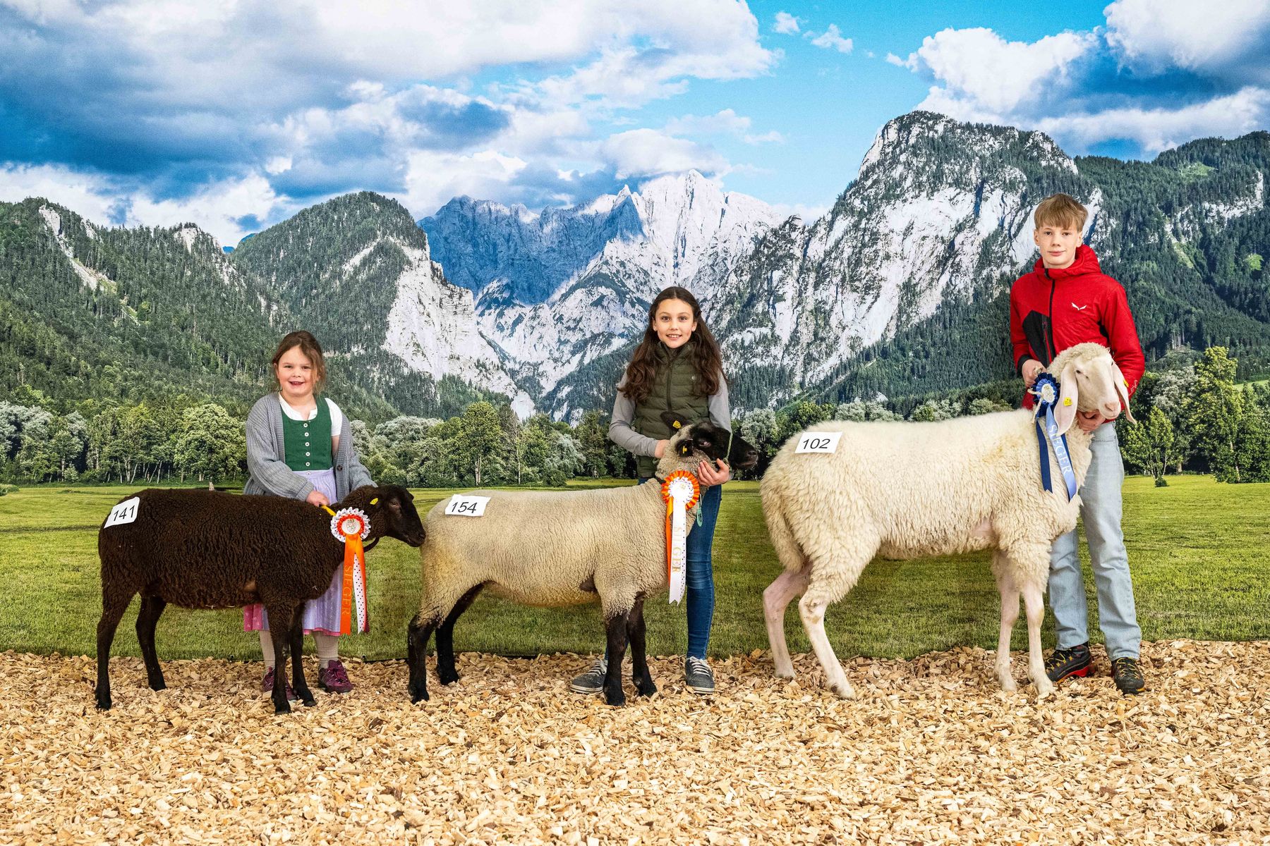 Steiermarkschau der Schafe 2026 © Fritz Baumann