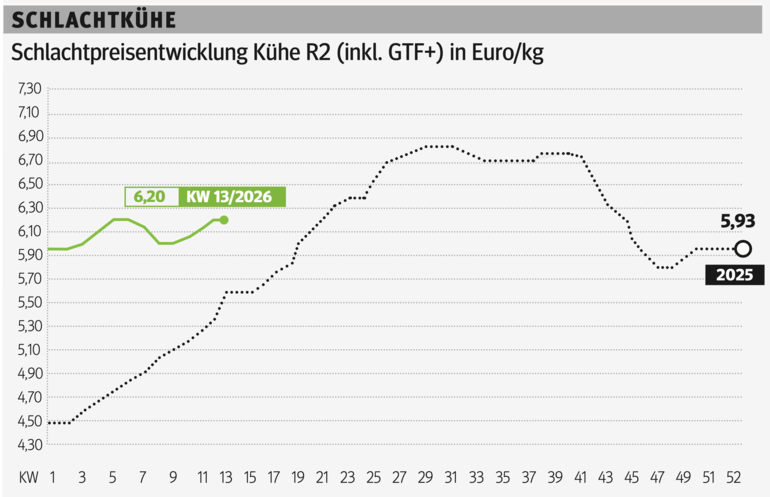 Schlachtkuhgrafik KW 13.png © Grafik RZV