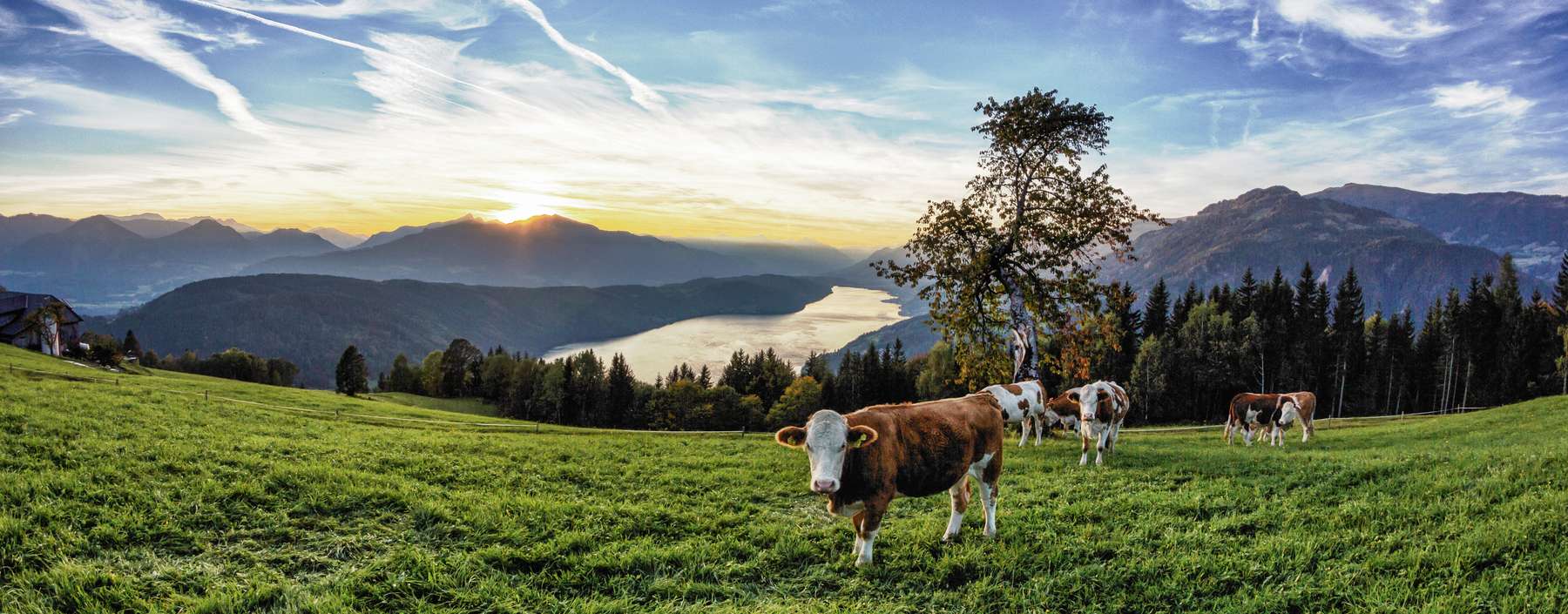 Agrargemeinschaft.jpg © stock.adobe.com