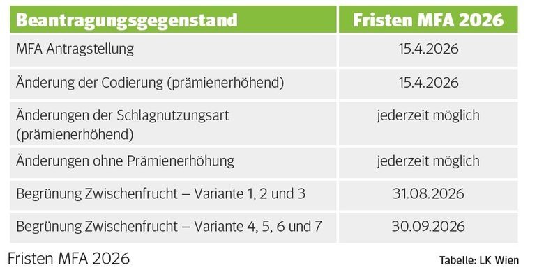 MFA FRISTEN 2026.jpg © LK Wien