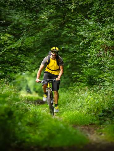 Radfahrer.jpg © stock.adobe.com