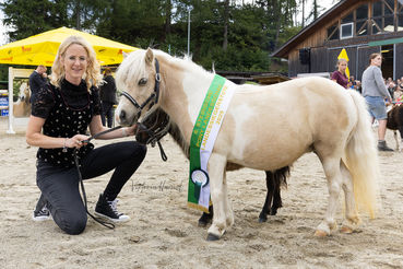 Pony Siegerstute Fleur van Zeerijp.jpg © Viktoria Hainzl