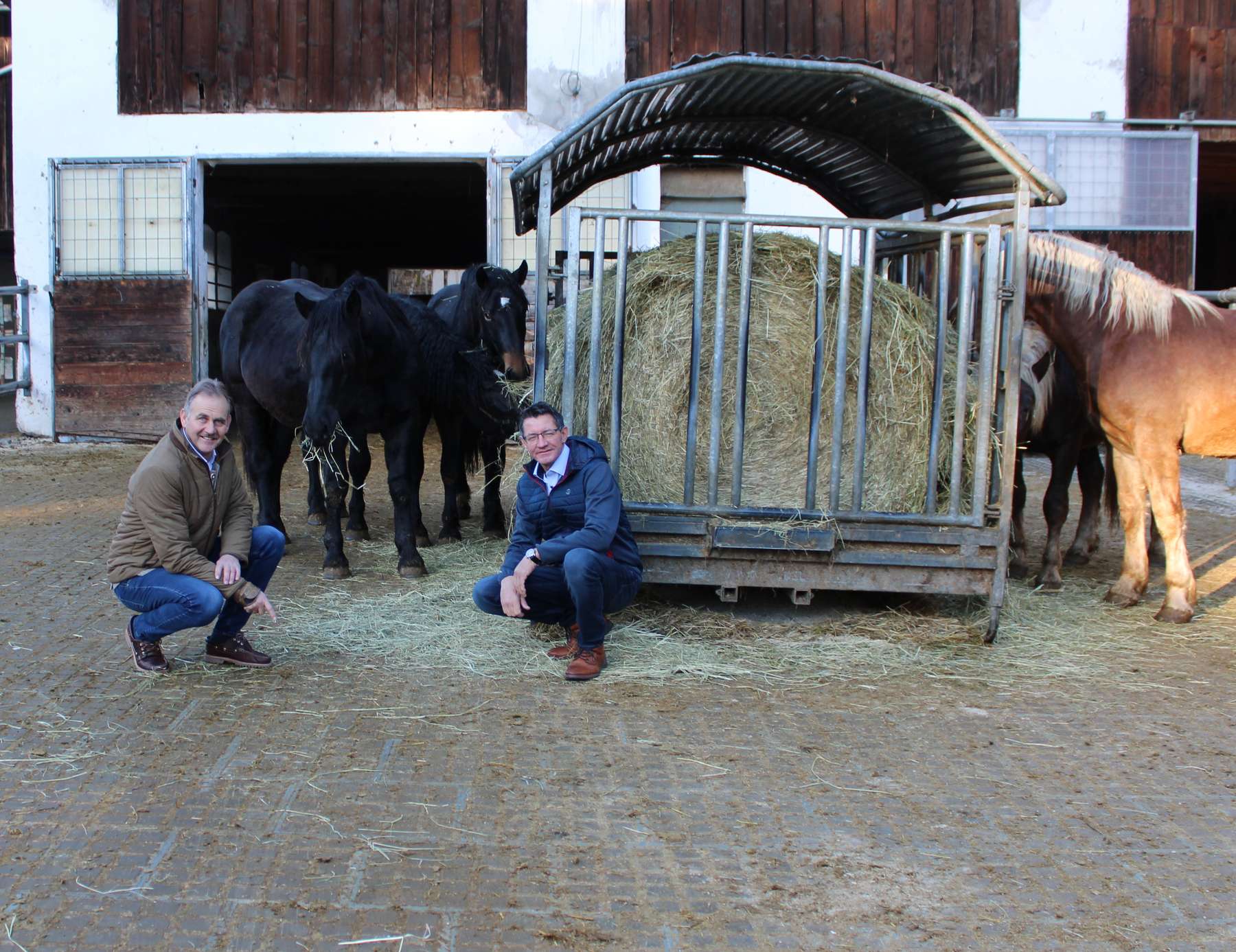 Aufzuchtstall.jpg © LK Kärnten/Frießnegger