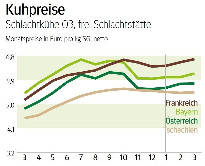 NÖ: Ausblick auf den Kuhmarkt im April © LK NÖ